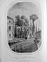 1854-Guida all'Imp.Regio Orto Botanico in Padova.(di Ceni Antonio) 03